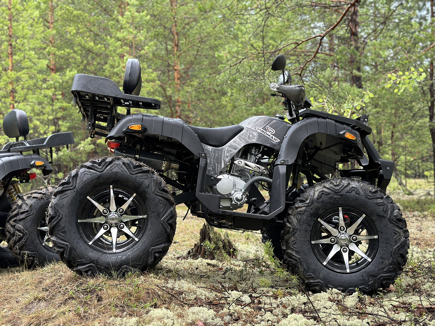 Квадроцикл PROMAX 320 DOMINATOR PRO (2025) в Воронеже