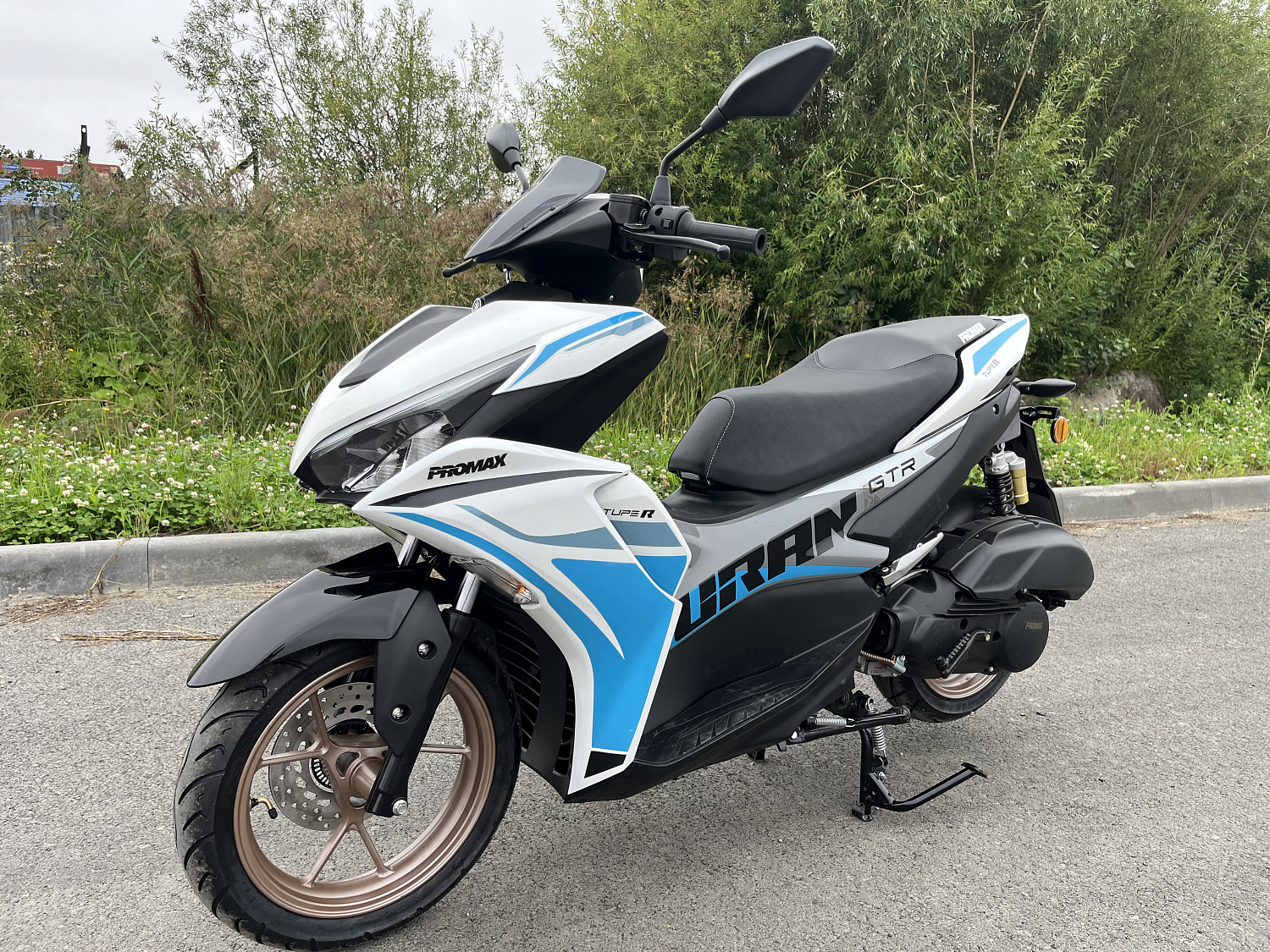 Скутер PROMAX TURAN 250 (49) в Воронеже