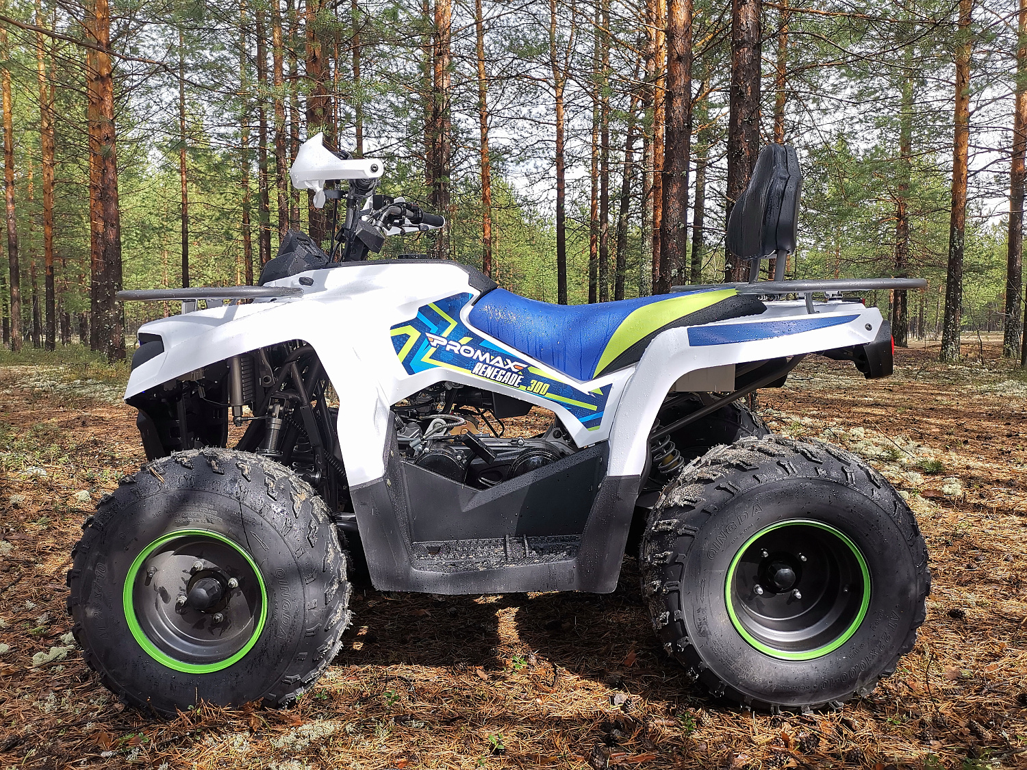 Квадроцикл PROMAX RENEGADE 280 (2025) в Воронеже