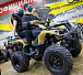Квадроцикл PROMAX ATV 250 (2025) в Воронеже