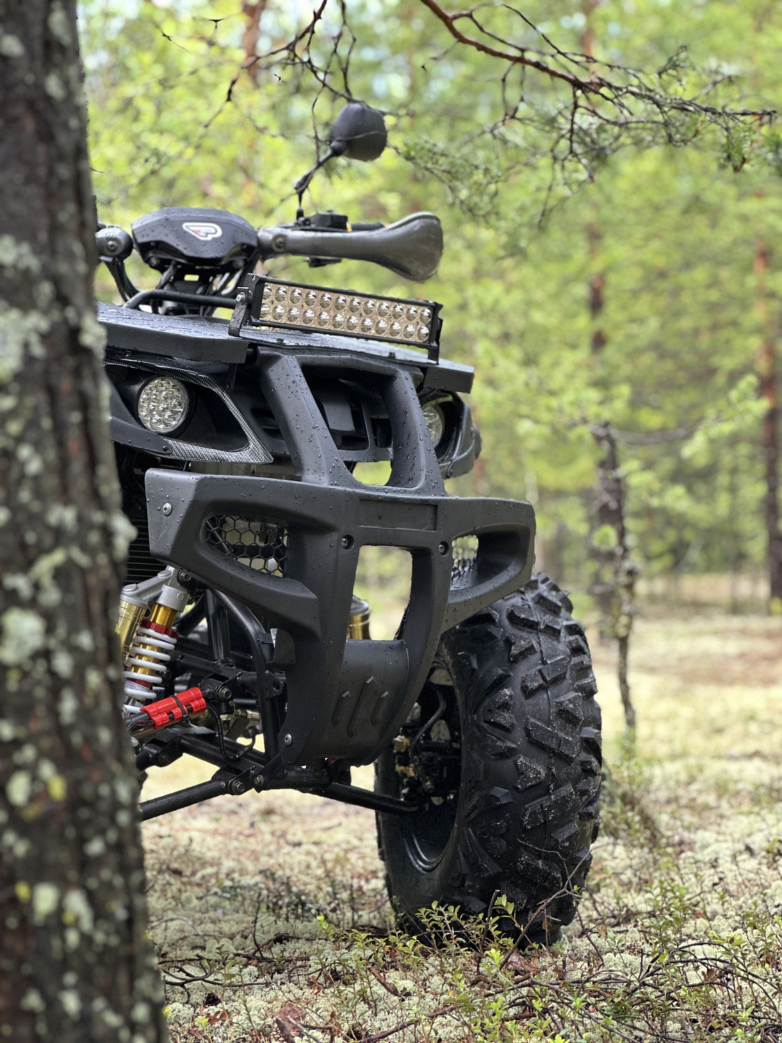 Квадроцикл PROMAX 320 DOMINATOR PRO (2025) в Воронеже