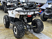Квадроцикл PROMAX WILD 2.0 190 LUX в Воронеже