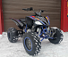 Квадроцикл PROMAX RAPTOR 300 NEW RedBull в Воронеже
