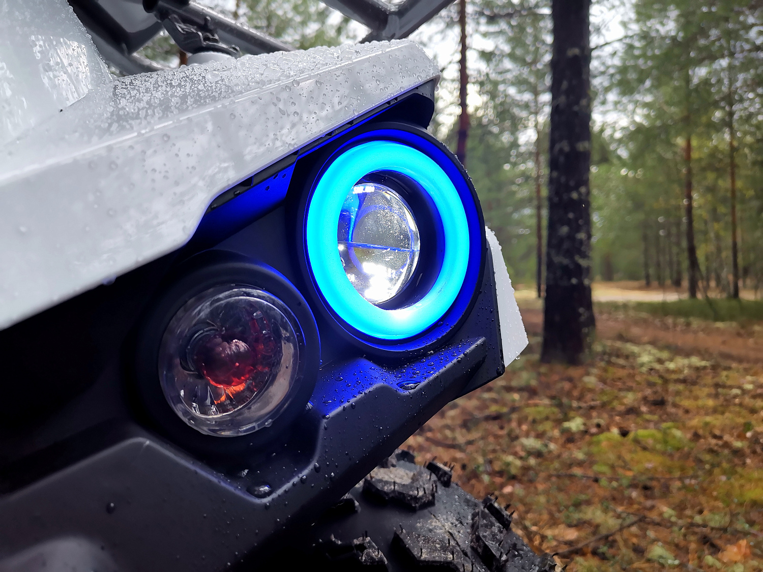 Квадроцикл PROMAX RENEGADE 280 (2025) в Воронеже