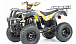 Квадроцикл MOTOLAND (МОТОЛЕНД) 250 ADVENTURE в Воронеже