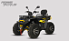 Квадроцикл PROMAX TAURUS 300 MAX-PRO LONG в Воронеже